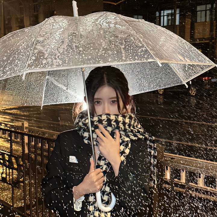 阿尔及尔的末代王后